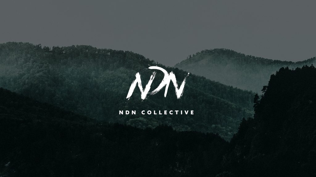 Defend. Develop. Decolonize. | NDN Collective