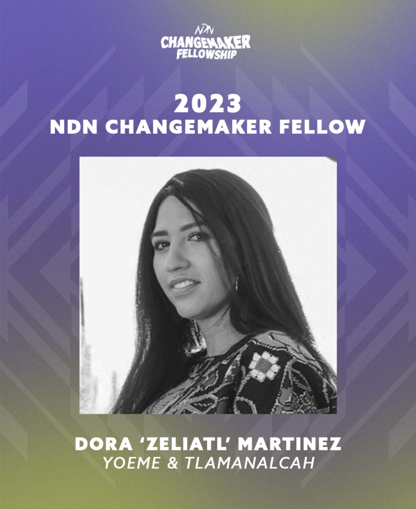 Meet the 2023/24 Cohort of NDN Changemaker Fellows - NDN COLLECTIVE